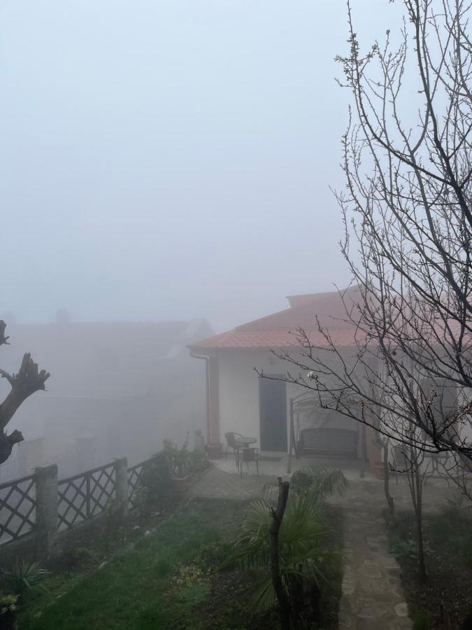 Ferienwohnung Ani-A Sighnaghi Exterior foto